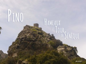 Randonnée à la demi-journée Cap Corse Pino Tour de Sénèque