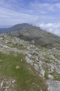 Sentier des crêtes - Sommet du Monte Stellu