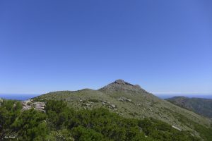 Sentier des crêtes du Cap Corse - Entre Pino et Luri