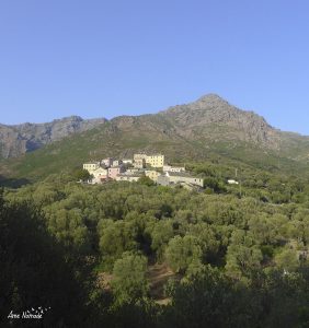 Randonnée dans le Cap Corse entre Olcani et Albo